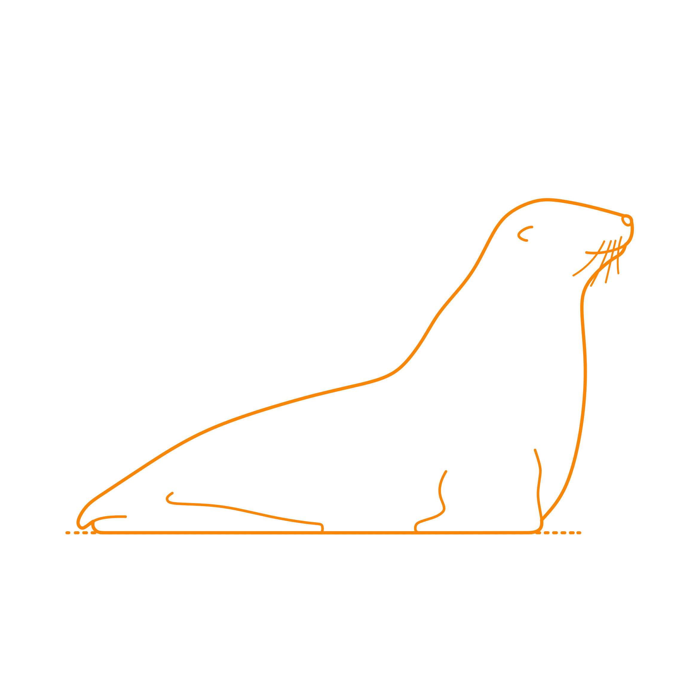 Animals Seals Stencil Svg Design File Free Vectors